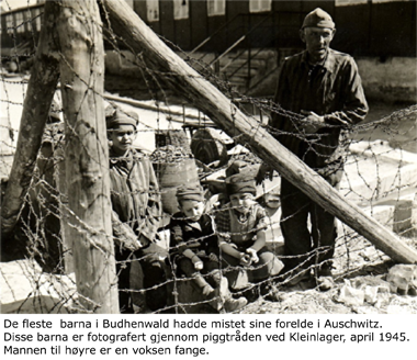 Barna i Buchenwald